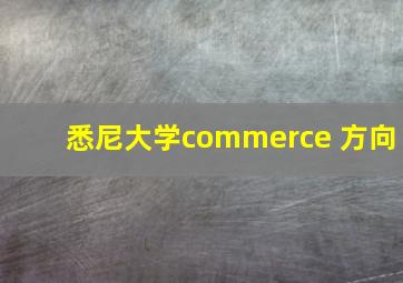 悉尼大学commerce 方向